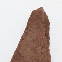 Closeup of fish hook tab made of worked bone