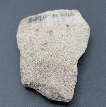 Close up of coral abrader