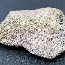 Closeup of coral abrader with visible alternate id number