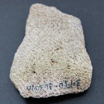 Closeup of coral abrader with visibile alternate id number