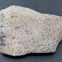 Closeup of coral abrader with visible alternate id number