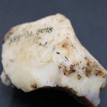 Closeup of quartzite core with visible alternate id number