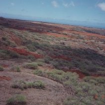 Aerial photo of the Pu'umoiwi area