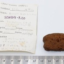 Basalt net sinker with artifact slip and ruler