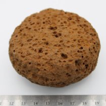 Closeup of ulumaika with ruler