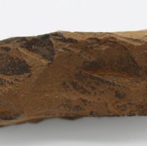 Closeup profile of quadrangular adze