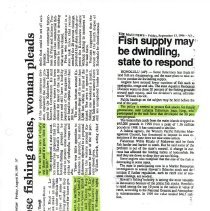 Newspaper articles re: DKOMP