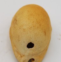 Lengthwise view of lu he'e (cowry shell lure)