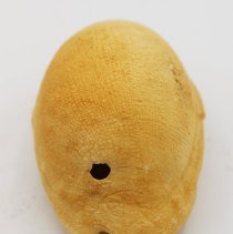 Lengthwise view of lu he'e (cowry shell lure)