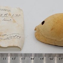 Lu he'e with ruler and artifact slip