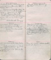 Bragdon Diary 1880