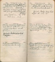 Bragdon Diary 1891