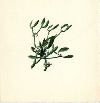 Christmas card to E. Perkins from E. Alexander