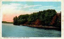 The Pines from Sewalls Bridge