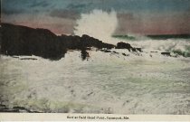 Surf at Bald Head Point