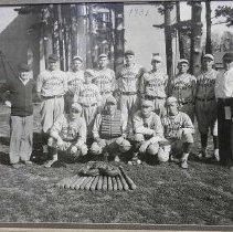 1931 Hudsonville Tigers Baseball Team