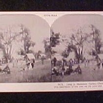 Stereograph