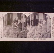 Stereograph