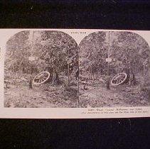 Stereograph