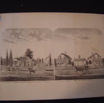 Stereograph
