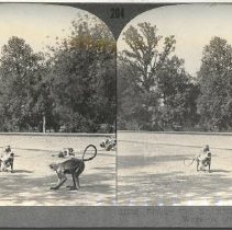 Stereograph