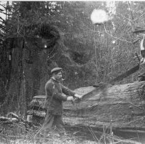 George Wingrove and John Wingrove Building a House