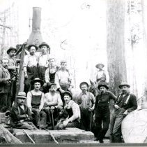 Loggers in Port Coquitlam Area