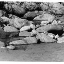 Sediment in Coquitlam River