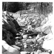 Siltation of North Creek