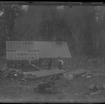 Wingrove family by greehouse