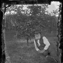 Wingrove man with apple tree