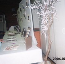 Girl Standing in front of Photos