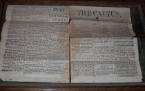 Newspaper, The Cactus