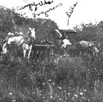 Campbell & Ferguson Families