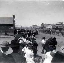 Ringling Brothers Circus