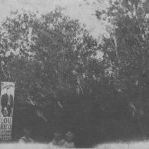 Lou Lucke Company Billboard