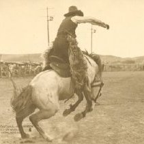 Bronc Rider