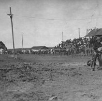 Ready to Ride a Bull