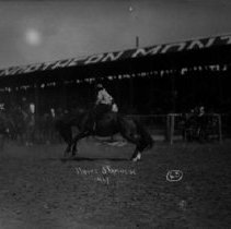 Bronc Rider