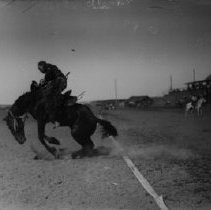 Bronc Rider