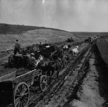 "Grading three miles west of Chapman"