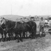 Bruce Clyde and team of horses.