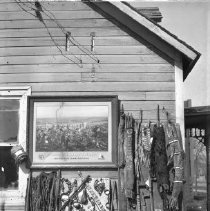 Dave Gass Indian Curios