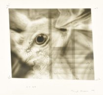 Daryl Trivieri - 12 x Y.B