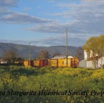 Feed Store with box cars.