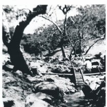 Dave Torres mining for gold