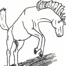 Mighty Mustangs yearbook 2007-08