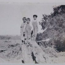 Thompson children standing on a rock.