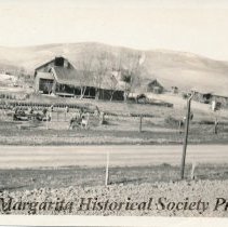 Almond Orchard at Creston 1919