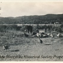 Farm Scene at the Epperly Place